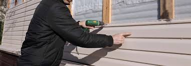 Best Siding Painting and Refinishing  in Agua Dulce, CA